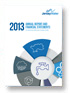 Jersey Water - Financial Statements 2013
