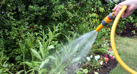 save-water-garden