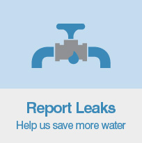 Report Leaks