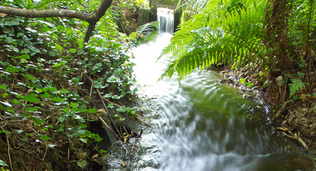 stream nitrate map jersey water
