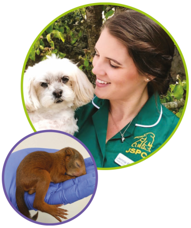 JSPCA-Animals’-Shelter-Image